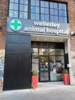 Wellesley Animal Hospital image 4